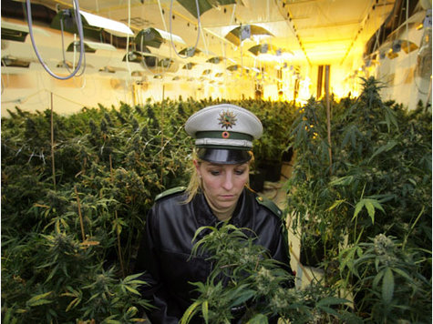 Прикрепленное изображение: 1373666897_hanfplantage_9.jpg
